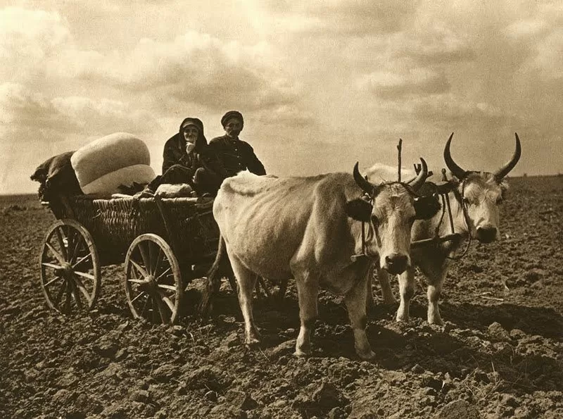 România, 1933 - fotografii de Kurt Hielscher